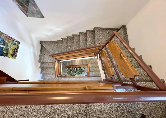 Ginepro * 利维尼奥