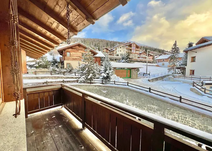 Ginepro 利维尼奥